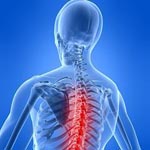 Формирование правильной осанки