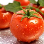 Диета на помидорах: отзывы худеющих, меню Диета на помидорах: отзывы худеющих, меню