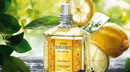 Бергамот: соединение полезности и вкуса