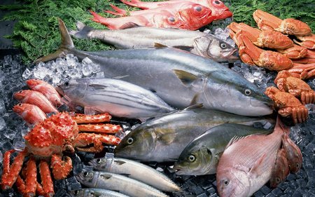 Богатые йодом продукты в ежедневном рационе ― залог здоровья щитовидной железы