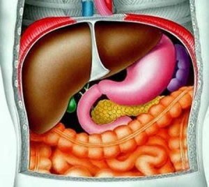 Гепатоз - болезнь