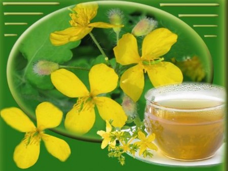 Очищение организма по методу Бориса Болотова