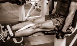 все о тренажерах