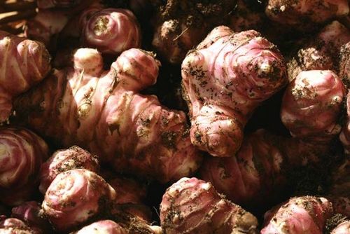 Как выбрать, приготовить и съесть топинамбур