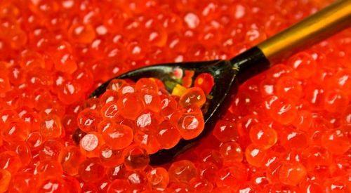 Красная икра: польза и вред Красная икра: польза и вред