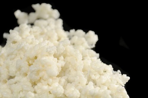 О пользе и вреде молочного гриба