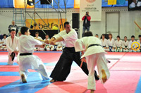 Школы боевых искусств в России