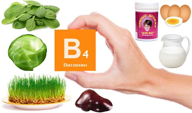 Витамин В4 Витамин В4