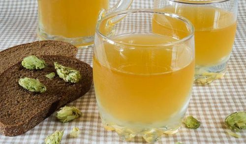 Чем полезны шишки хмеля Чем полезны шишки хмеля