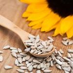 Полезные свойства подсолнечных и тыквенных семечек