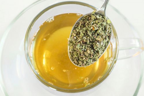 Спорыш: польза и применение Спорыш: польза и применение