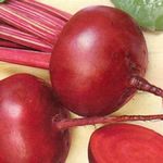 В чем польза свеклы для человеческого организма