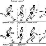 Комплекс упражнений для разминки