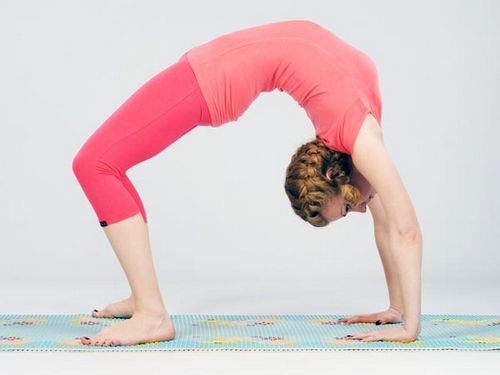 Упражнения на гибкость Упражнения на гибкость