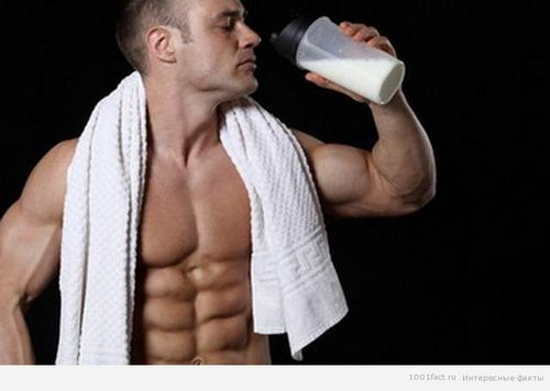 Жидкие аминокислоты: что это, рейтинг лучших Жидкие аминокислоты: что это, рейтинг лучших