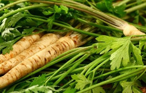 Петрушка для похудения