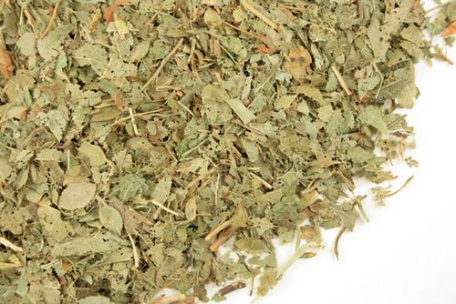 Листья черники и их применение