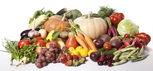 Неоценимая роль растительных волокон Неоценимая роль растительных волокон