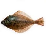 Калорийность и полезные свойства камбалы