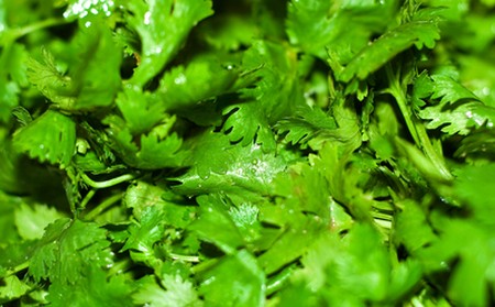 Кинза Кинза