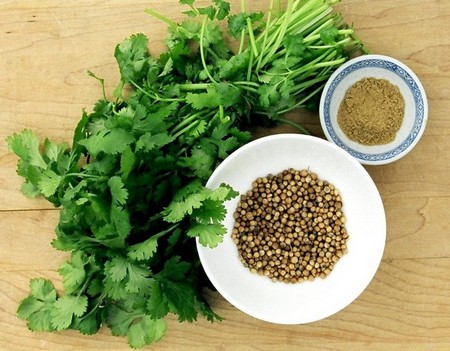 Кинза Кинза