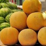 Полезные свойства дыни