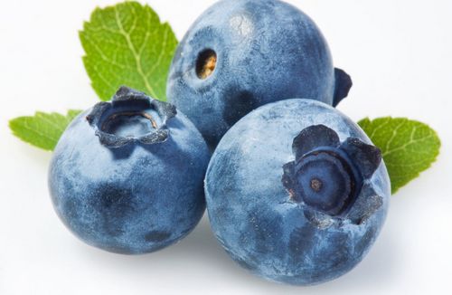 Полезные свойства голубики