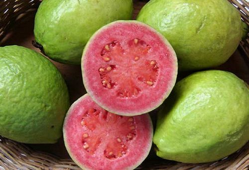 Полезные свойства гуавы