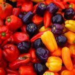 Польза, калорийность, сорта болгарского перца