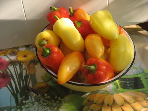 Польза, калорийность, сорта болгарского перца