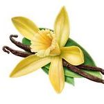 Свойства эфирного масла ванили