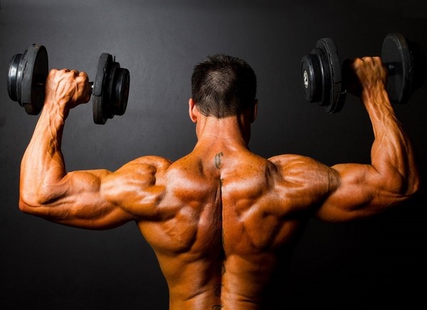 Комплекс упражнений в тренажёрном зале: советы для начинающих