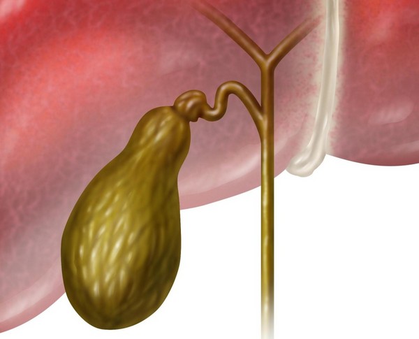Желчегонные препараты: список и показания к применению