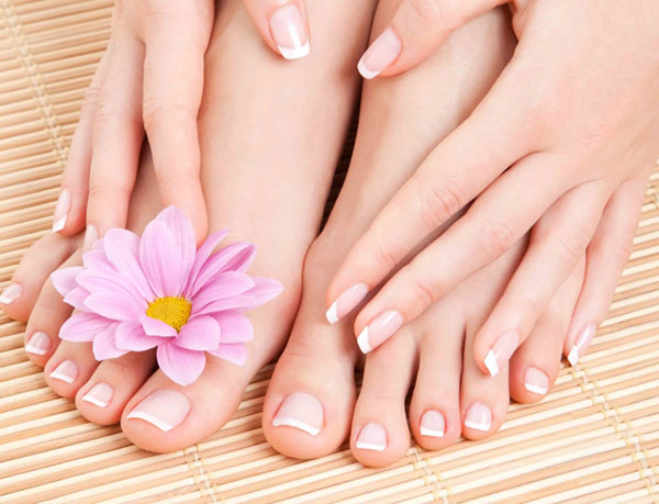 Эфирное масло чайного дерева Эфирное масло чайного дерева