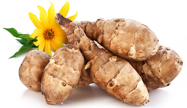 Польза и вред топинамбура