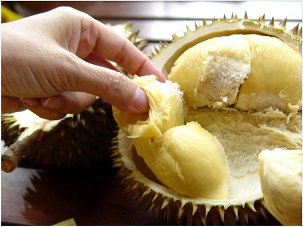 Дуриан Дуриан