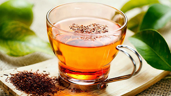 Чай ройбуш: полезные свойства и противопоказания