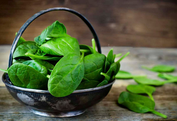 Зеленый рейтинг: ТОП-3 продуктов для летнего салата