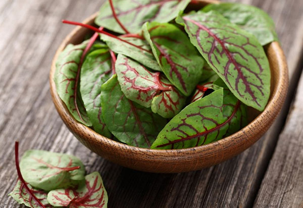 Зеленый рейтинг: ТОП-3 продуктов для летнего салата