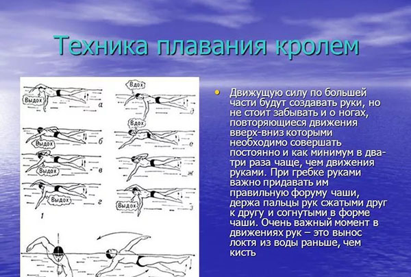 Техника плавания кролем для начинающих Техника плавания кролем для начинающих