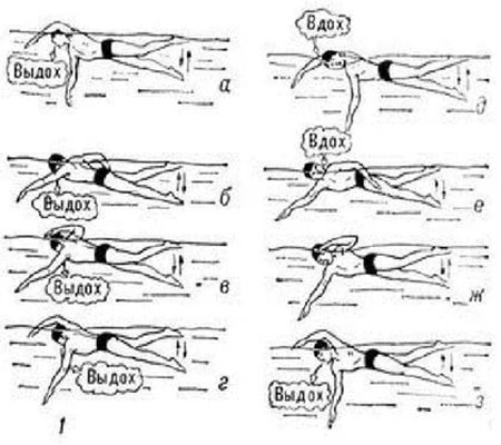 Техника плавания кролем для начинающих Техника плавания кролем для начинающих