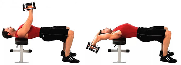 Упражнения на спину в тренажерном зале Упражнения на спину в тренажерном зале