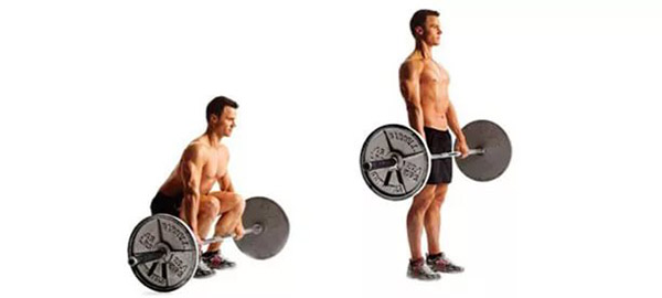 Упражнения на спину в тренажерном зале Упражнения на спину в тренажерном зале