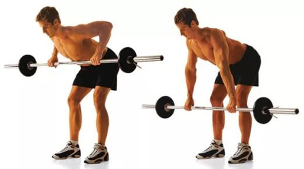 Упражнения на спину в тренажерном зале Упражнения на спину в тренажерном зале