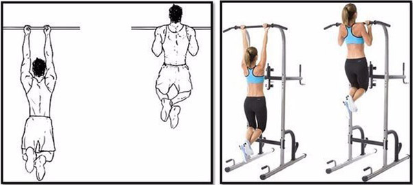 Упражнения на спину в тренажерном зале Упражнения на спину в тренажерном зале