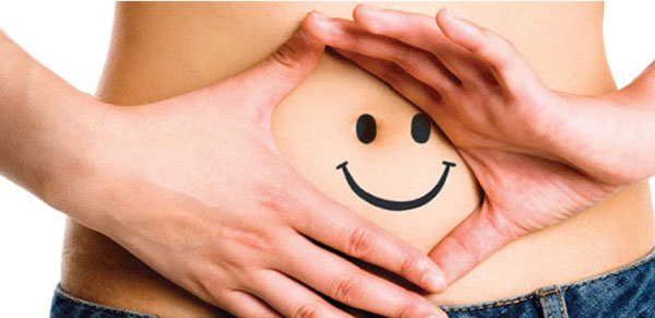 Контролируют ли микроорганизмы кишечника наш аппетит Контролируют ли микроорганизмы кишечника наш аппетит