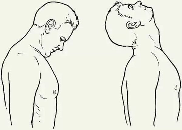 качать шею разминка