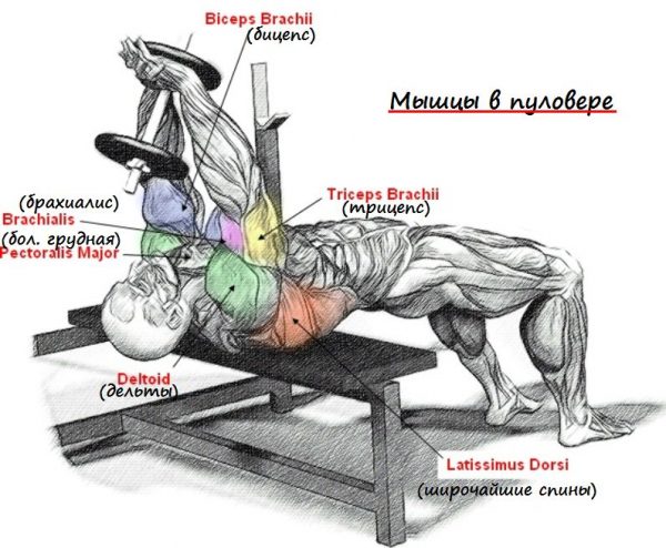 texnika-vypolneniya-uprazhneniya-pulover-2