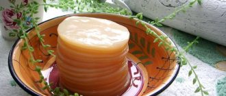 Чайный гриб: польза или вред