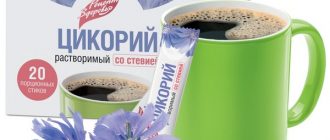 Цикорий: польза или вред?